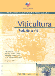 Viticultura: Poda de la Vid