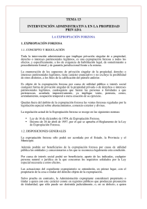 La Constitución Española, Tema 13