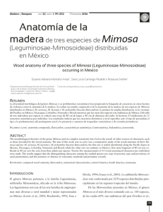 Anatomía de la madera de tres especies de Mimosa (Leguminosae