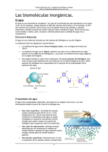 Biomoleculas inorgánicas - Profesor JG Calleja