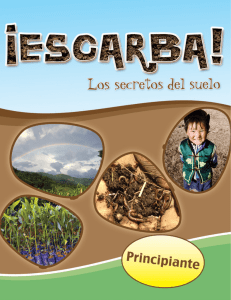 ¡Escarba! Los secretos del suelo