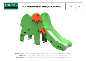 el camello/the camel/le chameau