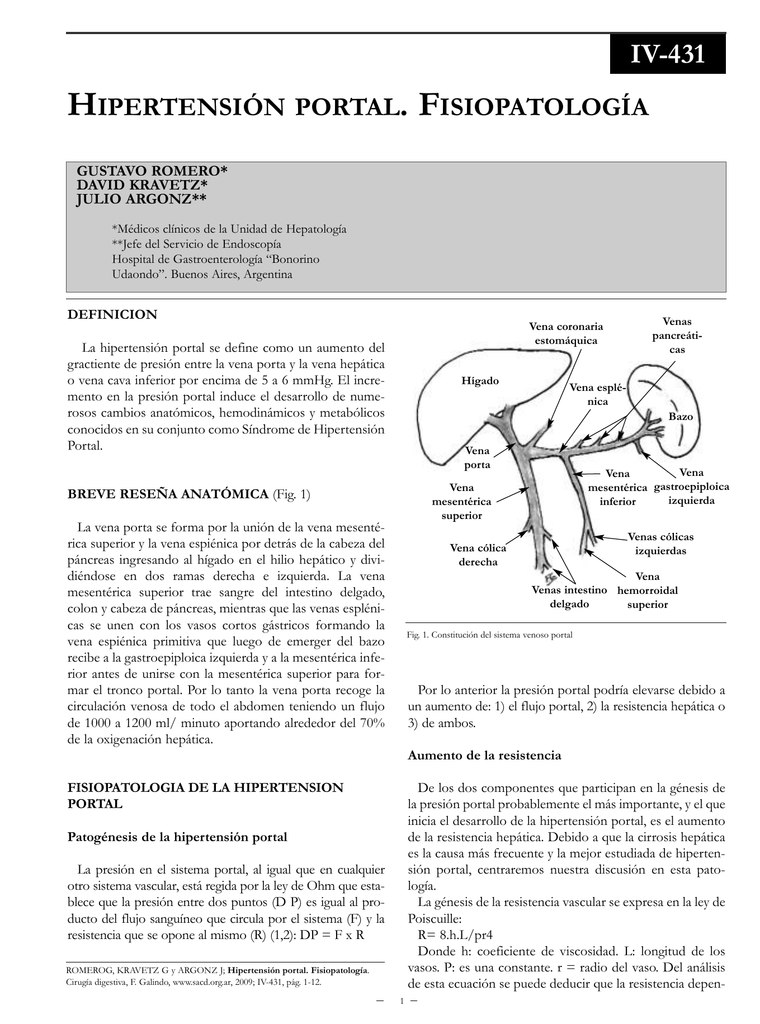 La hipertensión portal puede causar hipertensión La hipertensión portal puede causar hipertensión