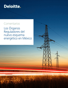 Los Órganos Reguladores del nuevo esquema energético