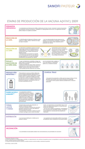 etapas de producción de la vacuna a(h1n1) 2009