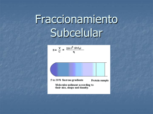 Fraccionamiento Subcelular - U