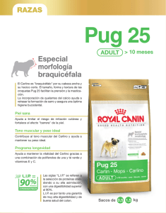 Pug 25 - Huella Canina