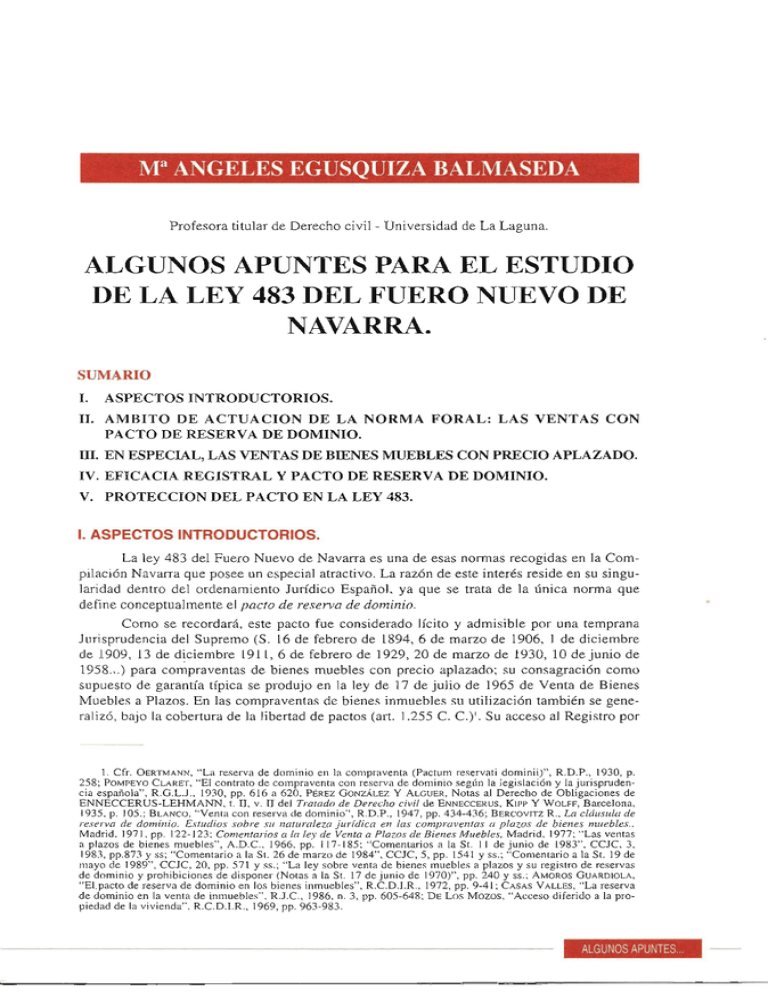 Algunos apuntes para el estudio de la ley 483 del Fuero Nuevo