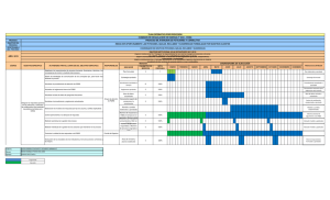 cronograma de ejecución plan operativo por procesos
