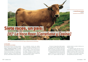 (II)* La Vaca Roxa (Carreñana y Casina)