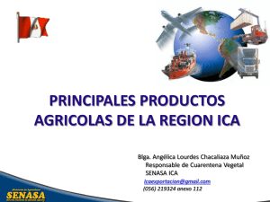 PRINCIPALES PRODUCTOS AGRICOLAS DE LA REGION ICA