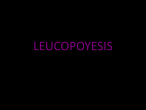 LEUCOPOYESIS