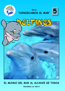 Delfines imprenta - Acuario Nacional de Cuba