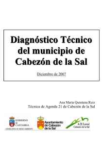 Diagnostico Técnico - Ayuntamiento de Cabezón de la Sal
