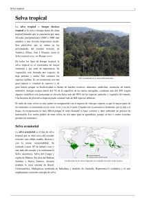 Selva tropical - Cambio climatico