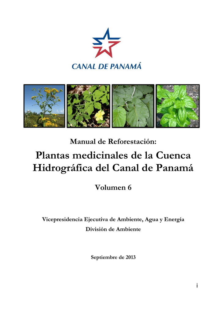 Plantas Medicinales De La Cuenca Hidrografica Del Canal De Panama
