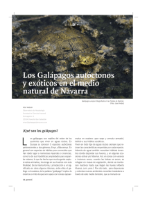 Los Galápagos autóctonos y exóticos en el medio natural de Navarra