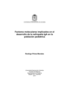 Factores moleculares implicados en el desarrollo de la nefropatía