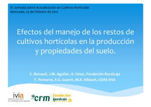 Efectos del manejo de los restos de cultivos hortícolas en la