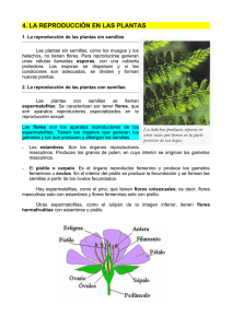 4. la reproducción en las plantas
