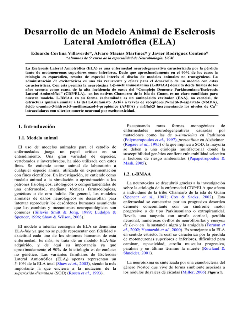 Descargar