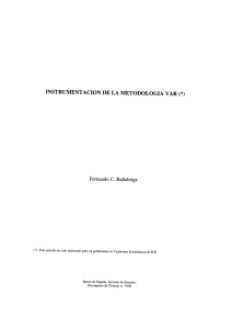 Instrumentación de la Metodología VAR (1991)