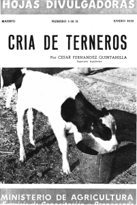 CRIA DE TERNEROS