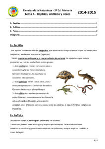 Tema 4.- Reptiles, Anfibios y Peces
