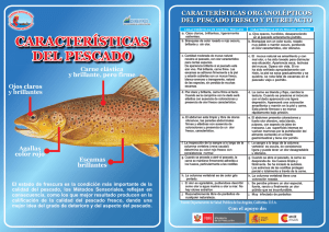 características organolépticos del pescado fresco y putrefacto