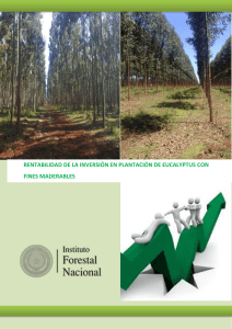 rentabilidad de la inversión forestal
