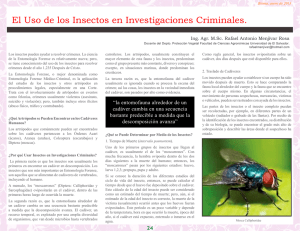 El Uso de los Insectos en Investigaciones Criminales.