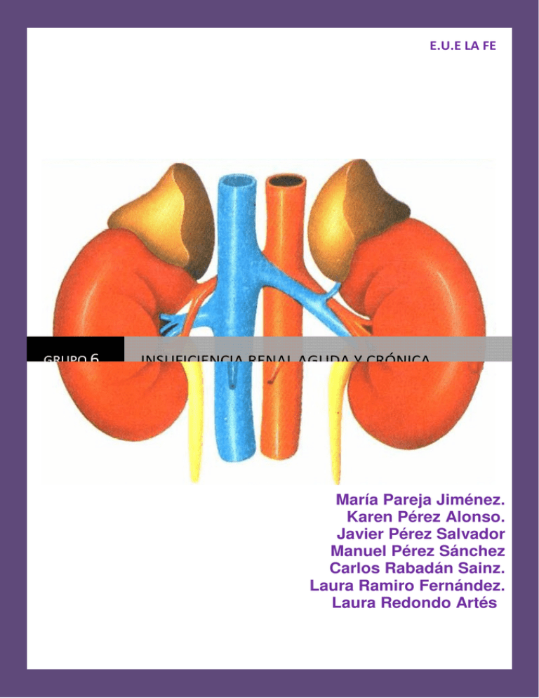 Insuficiencia Renal Aguda Y Crónica