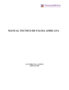 manual tecnico de palma africana