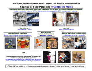 Sources of Lead Poisoning / Fuentes de Plomo