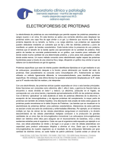 electroforesis de proteinas - Laboratorio Clínico y Patología