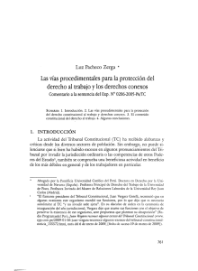 Las vías procedimentales para la protección del derecho al trabajo y