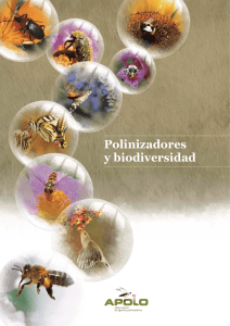 Polinizadores y biodiversidad - apolo