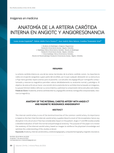 anatomía de la arteria carótida interna en angiotc y angioresonancia