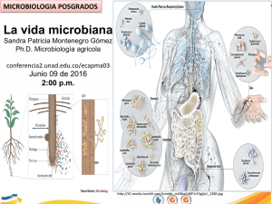 La vida microbiana