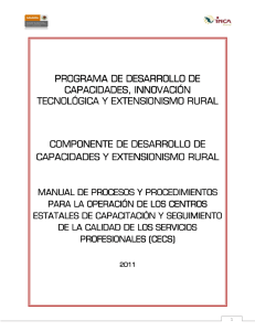 Manual CECS 2011
