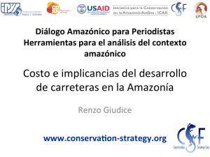 Costo e implicancias del desarrollo de carreteras en la Amazonía