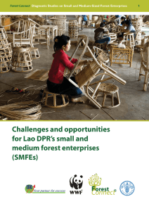 Challenges and opportunities for Lao DPR`s small and medium