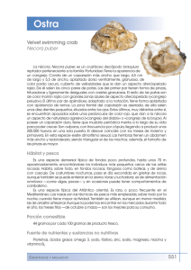 551 Velvet swimming crab - FEN. Fundación Española de la Nutrición