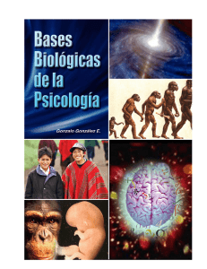 bases biológicas de la psicología