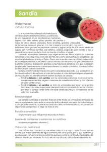 Sandía - FEN. Fundación Española de la Nutrición