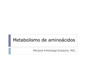 CLASE Metabolismo de aminoácidos 1-urea