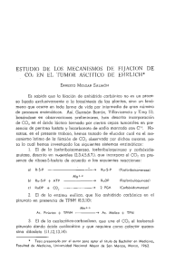 Imprima este artículo - Revistas de investigación UNMSM