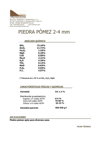 ESPECIFICACIONES PIEDRA POMEZ 2-4 mm