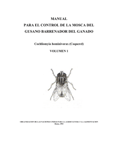 (1993) Manual para el Control de la mosca del Gusano Barrenador