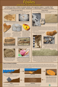 Madrigueras fósiles